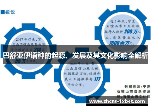巴舒亚伊语种的起源、发展及其文化影响全解析