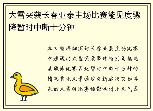 大雪突袭长春亚泰主场比赛能见度骤降暂时中断十分钟 大雪突袭长春亚泰主场比赛能见度骤降暂时中断十分钟